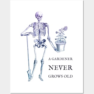 A Gardener Never Grows Old skeleton and sunflower Posters and Art